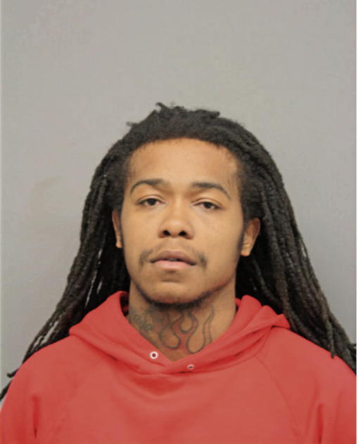 TIMMY C HORN, Cook County, Illinois