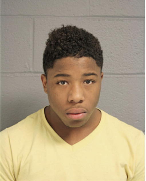 STEVEN JENKINS, Cook County, Illinois