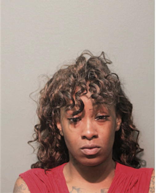 ASHLEY B JOHNSON, Cook County, Illinois