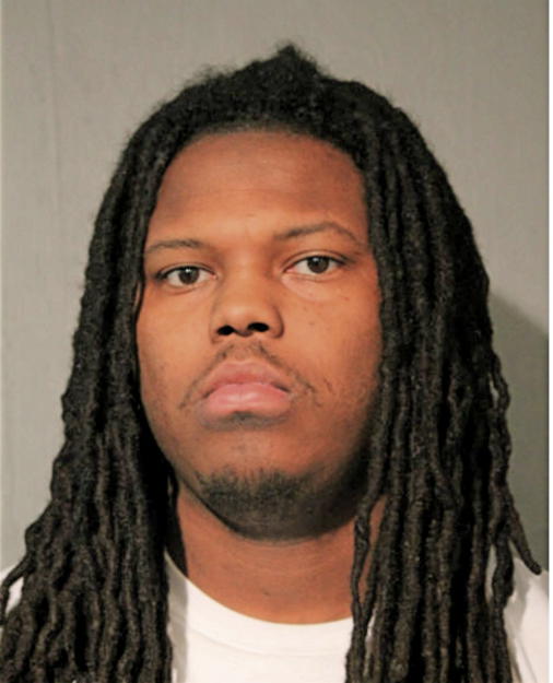 RANDY A JOHNSON, Cook County, Illinois