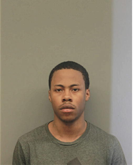 MYLES S LANGSTON, Cook County, Illinois