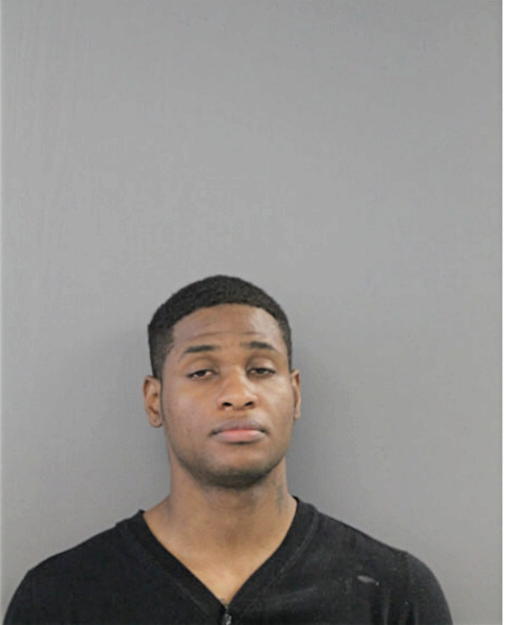 RAPHELLE J LOWERY, Cook County, Illinois