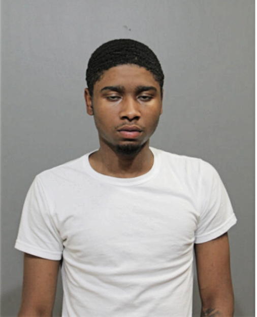 MARIO JR P NEUSTADTER, Cook County, Illinois