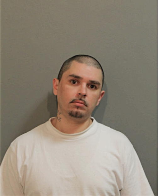 JOHN J PORTWAY, Cook County, Illinois
