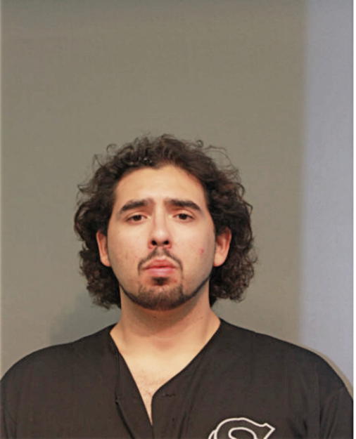 ANTHONY C RAMIREZ, Cook County, Illinois