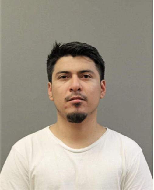 LUIS R RAMOS, Cook County, Illinois