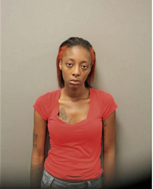 BRIANNA A SMITH, Cook County, Illinois
