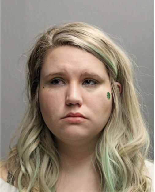 ABIGAIL R STORM, Cook County, Illinois