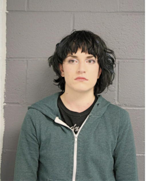 GABRIELE G STUNDZIAITE, Cook County, Illinois