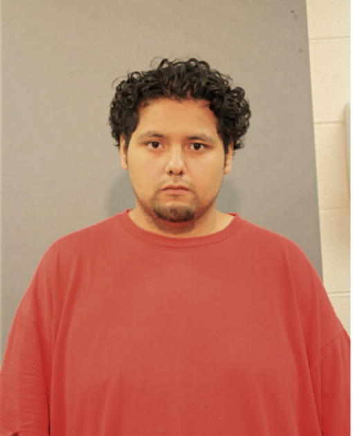 PABLO TOLEDO, Cook County, Illinois