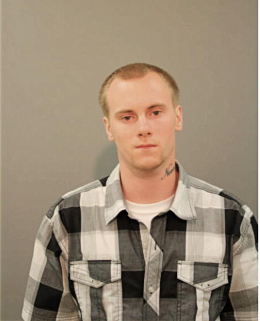 ANDREW NMI VLK, Cook County, Illinois