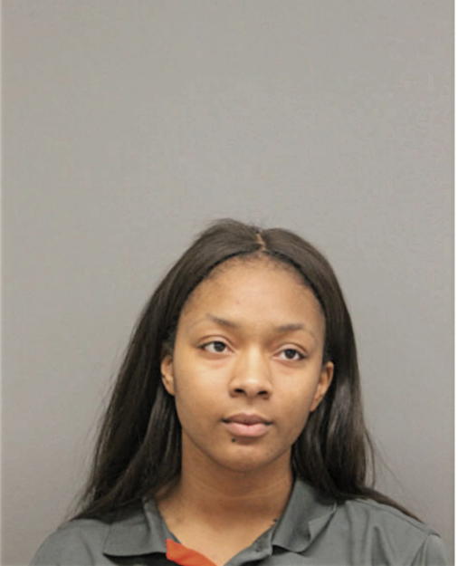 KAMIYA T WILSON, Cook County, Illinois