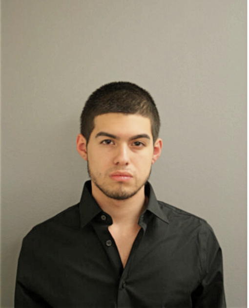DANIEL A ARROYO, Cook County, Illinois