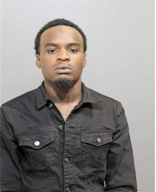 STEVEN F BROWN, Cook County, Illinois