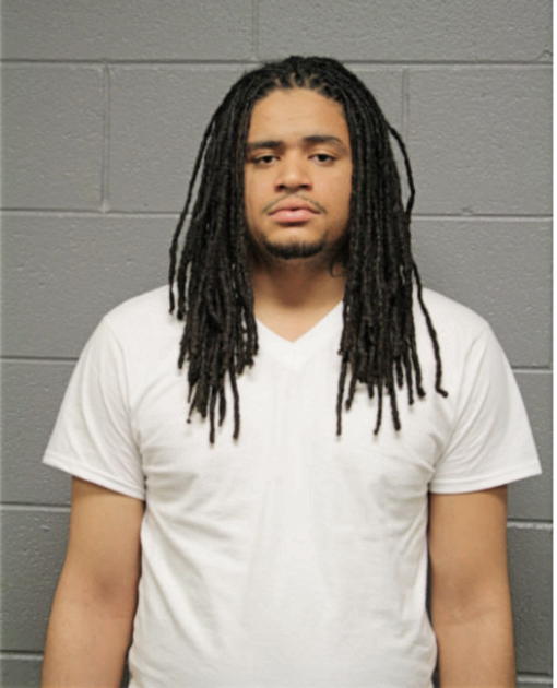 SARAN E COULTER, Cook County, Illinois