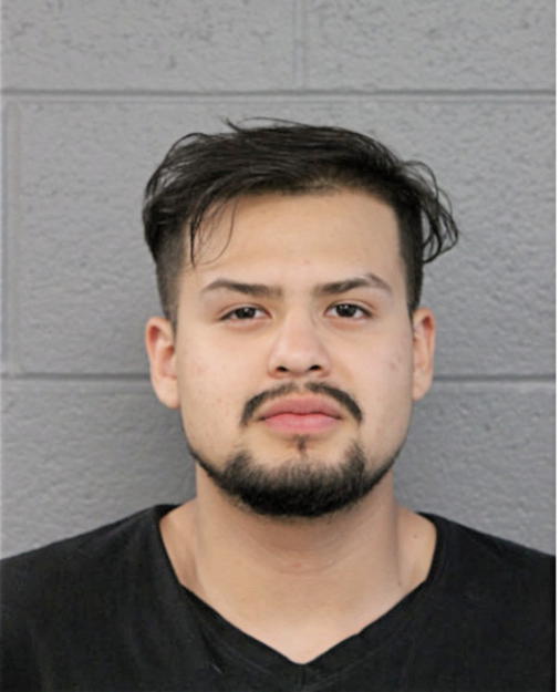 DEANGELO FONSECA, Cook County, Illinois