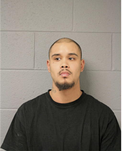 MIGUEL J GONZALEZ, Cook County, Illinois