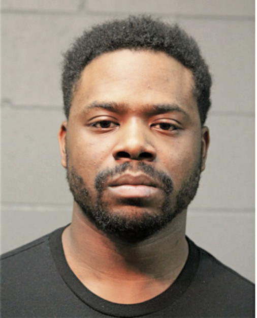 AARON M JOHNSON, Cook County, Illinois