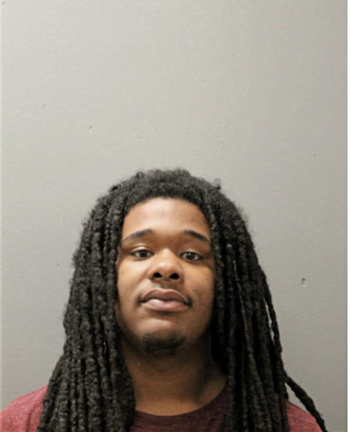 DBRIAN M JOHNSON, Cook County, Illinois