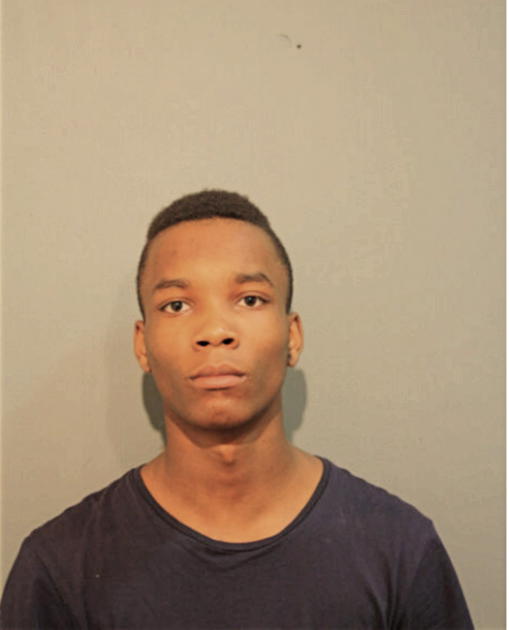 TONY D LEE, Cook County, Illinois