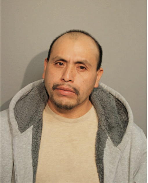 LUIS LUZ-VEGA, Cook County, Illinois