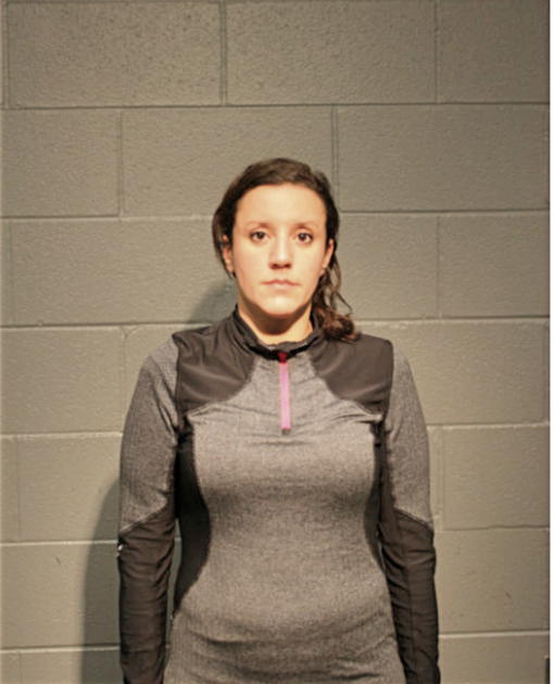 ANGELA N LUZZO, Cook County, Illinois