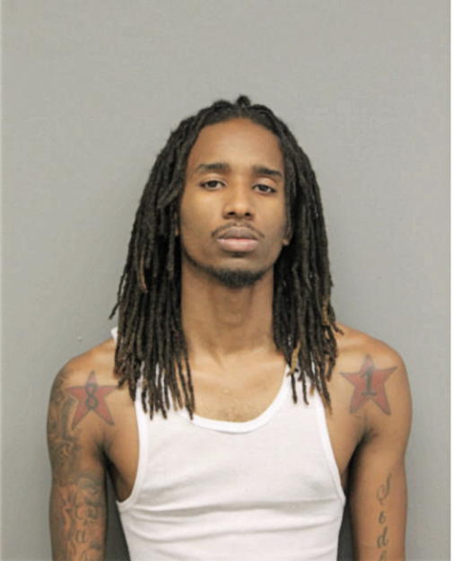 VINCENT L NOBLE, Cook County, Illinois