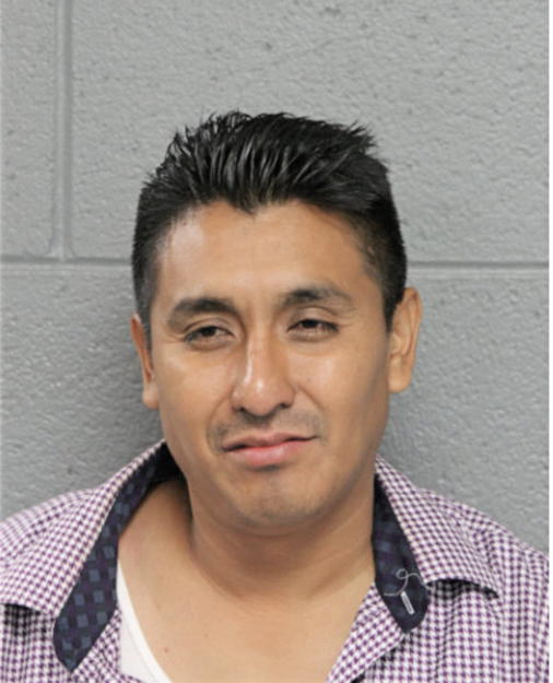 CESAR A OCHOA, Cook County, Illinois