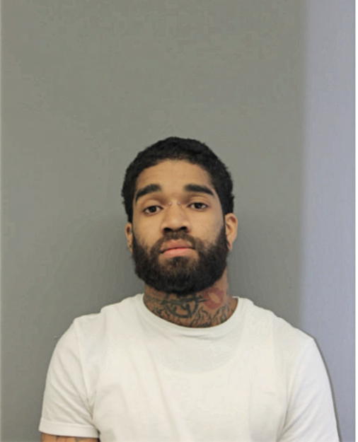 TREVEN V PALMER, Cook County, Illinois