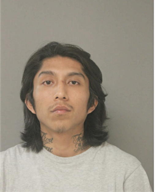 JOSE DEJESUS VIRGOS ALEGRIA, Cook County, Illinois