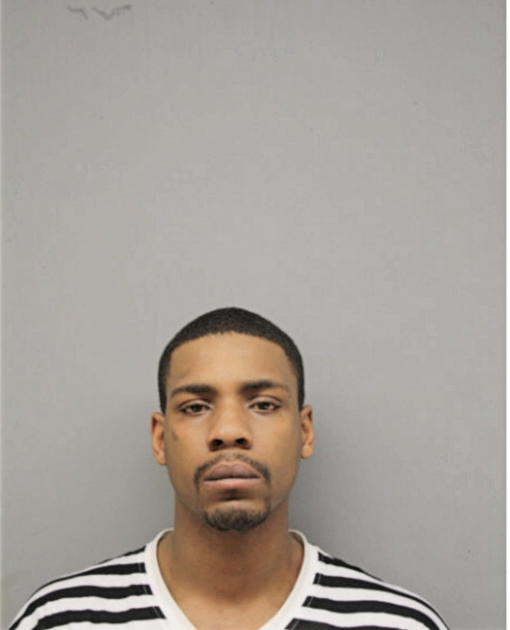 MICHAEL R ADAMS, Cook County, Illinois
