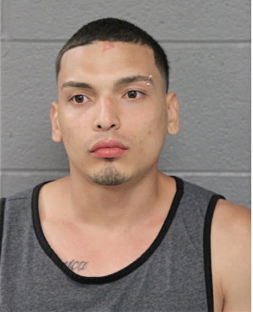 HECTOR ALVAREZ, Cook County, Illinois
