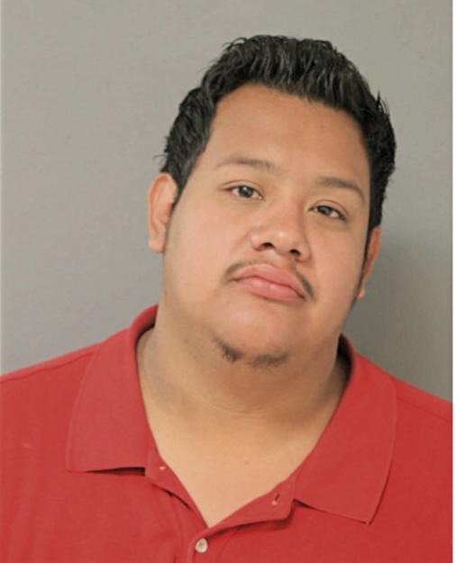 SERGIO ANAYA, Cook County, Illinois