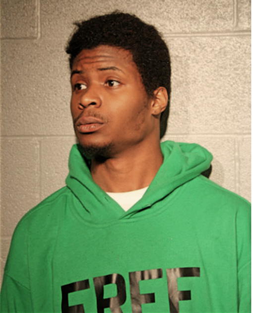 WALTER L CARSON, Cook County, Illinois