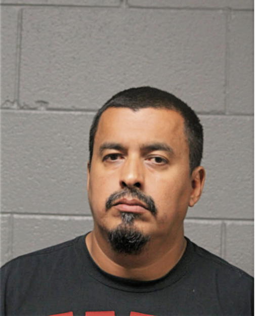 FERNANDO CEPEDA, Cook County, Illinois