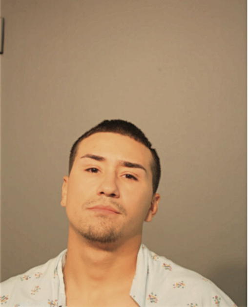 LUIS R COLON, Cook County, Illinois