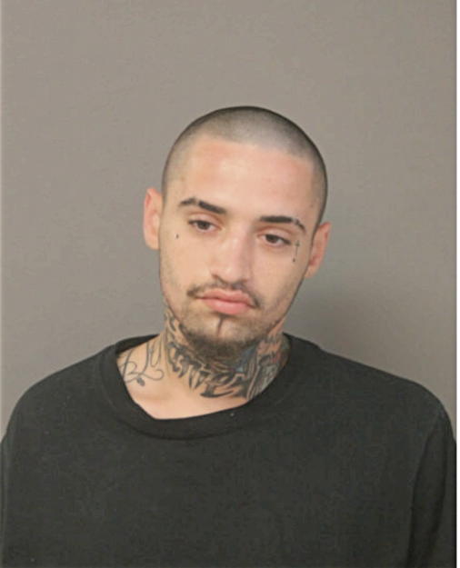 NICKOLAS COLON, Cook County, Illinois