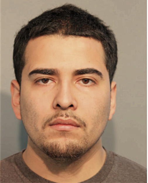 ANDRES FLORES, Cook County, Illinois