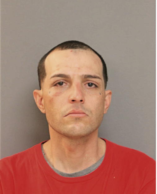 CENIEL FONTANEZ-TORRES, Cook County, Illinois