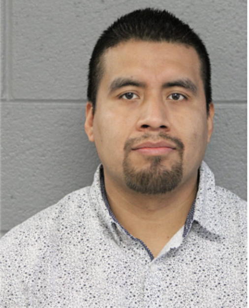 ANDRES GONZALEZ, Cook County, Illinois