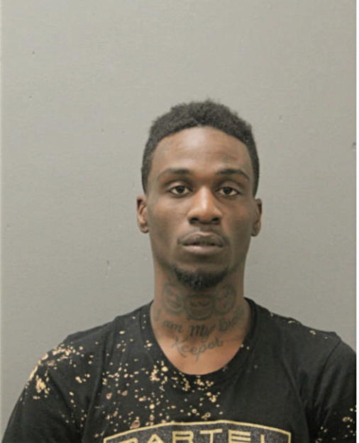 JOSHUA S HUNT, Cook County, Illinois