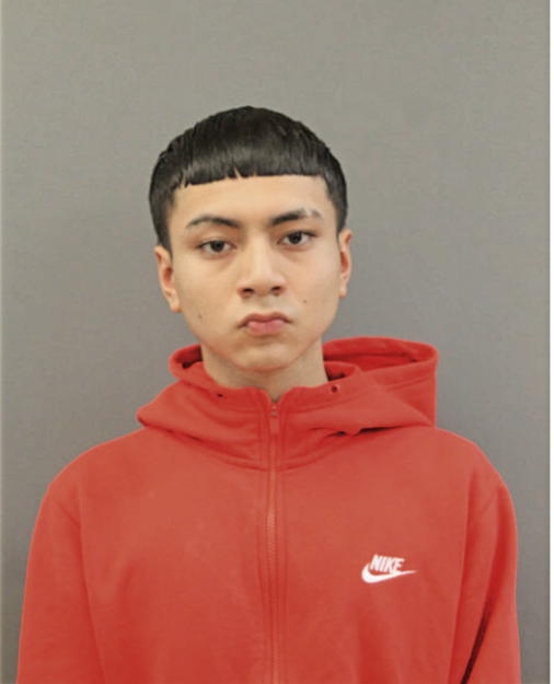 LUIS JIMENEZ, Cook County, Illinois