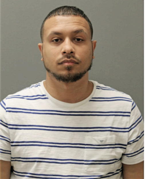 BRIAN JOHNSON, Cook County, Illinois