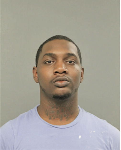 CHRISTOPHER L JOHNSON, Cook County, Illinois