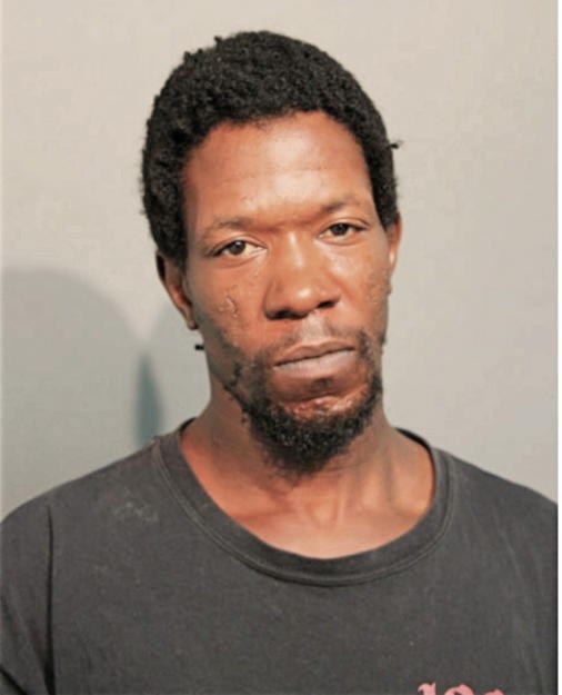 TYLER A JOHNSON, Cook County, Illinois