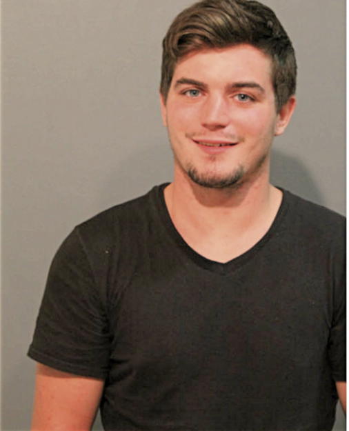 MICHAEL T KENNEY, Cook County, Illinois