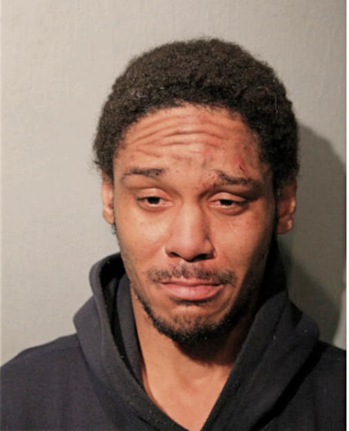 TYRONE L STRICKLAND, Cook County, Illinois