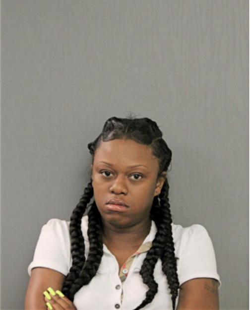 JESSICA M LEE, Cook County, Illinois