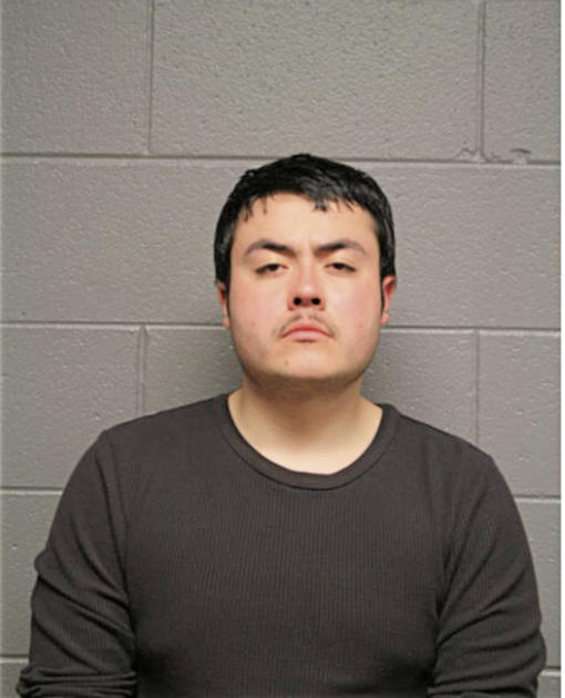 ANTHONY M LOPEZ, Cook County, Illinois