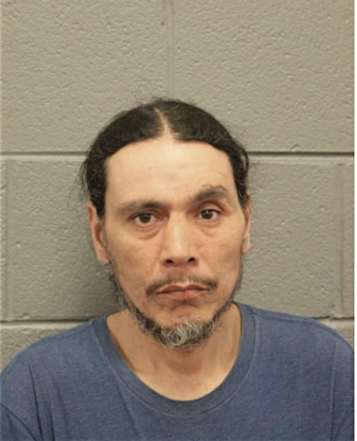 DANIEL L MARTINEZ, Cook County, Illinois